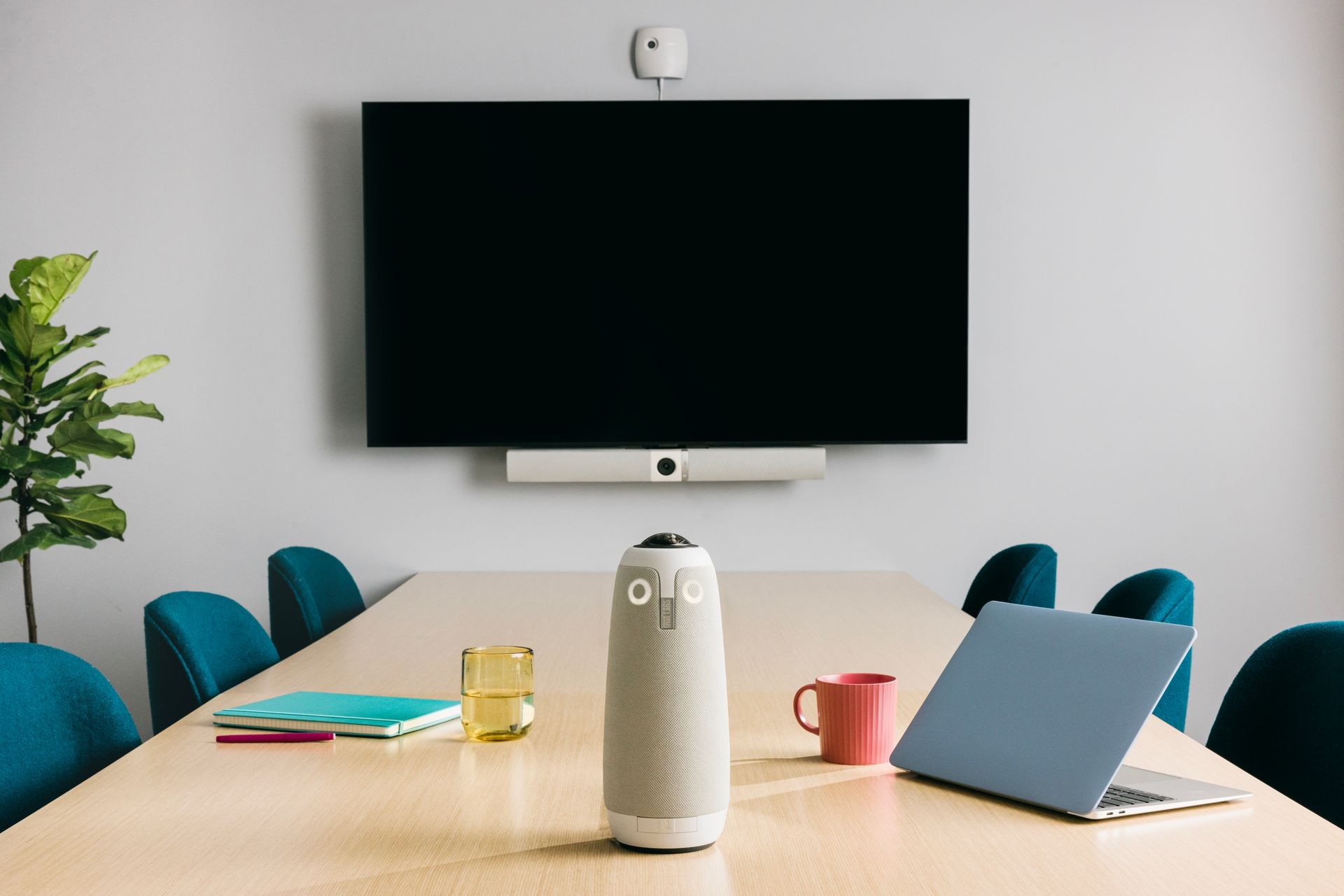Meeting Owl 3